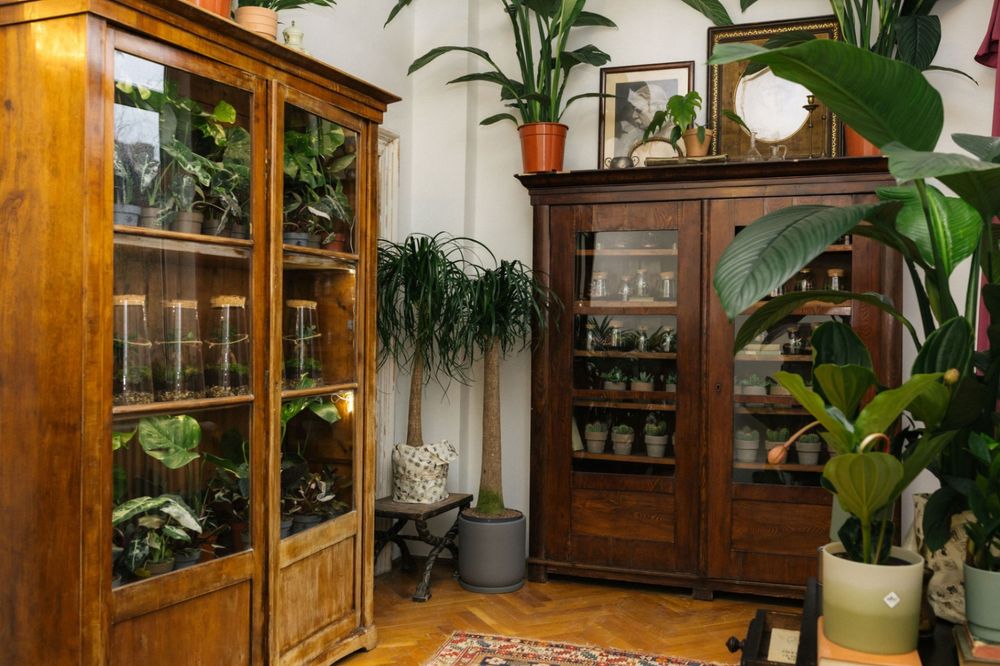 Tur ghidat la Casa Plantelor by Floral Soul